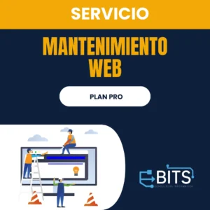 Servicio Mantenimiento Web Pro