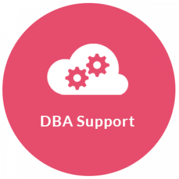 SQL Server DBA Support