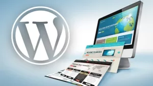 Diseño web WordPress: Ventajas para pymes en Chile 4 Caso de éxito de una pyme chilena usando WordPress