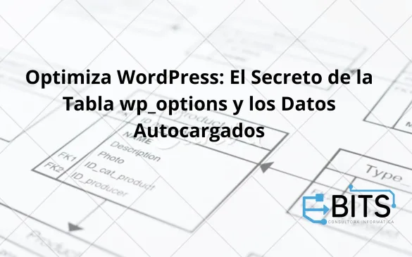 optimiza wordpress con wp_options
